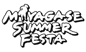 summer festa logo